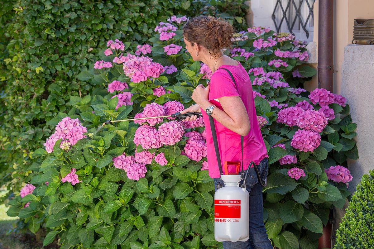 Garden Star 3 - 3L Compression Sprayer - Image 3