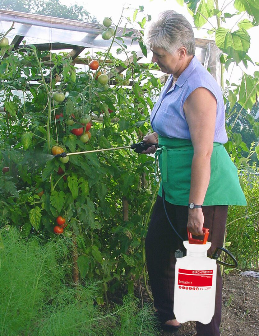 Garden Star 3 - 3L Compression Sprayer - Image 4