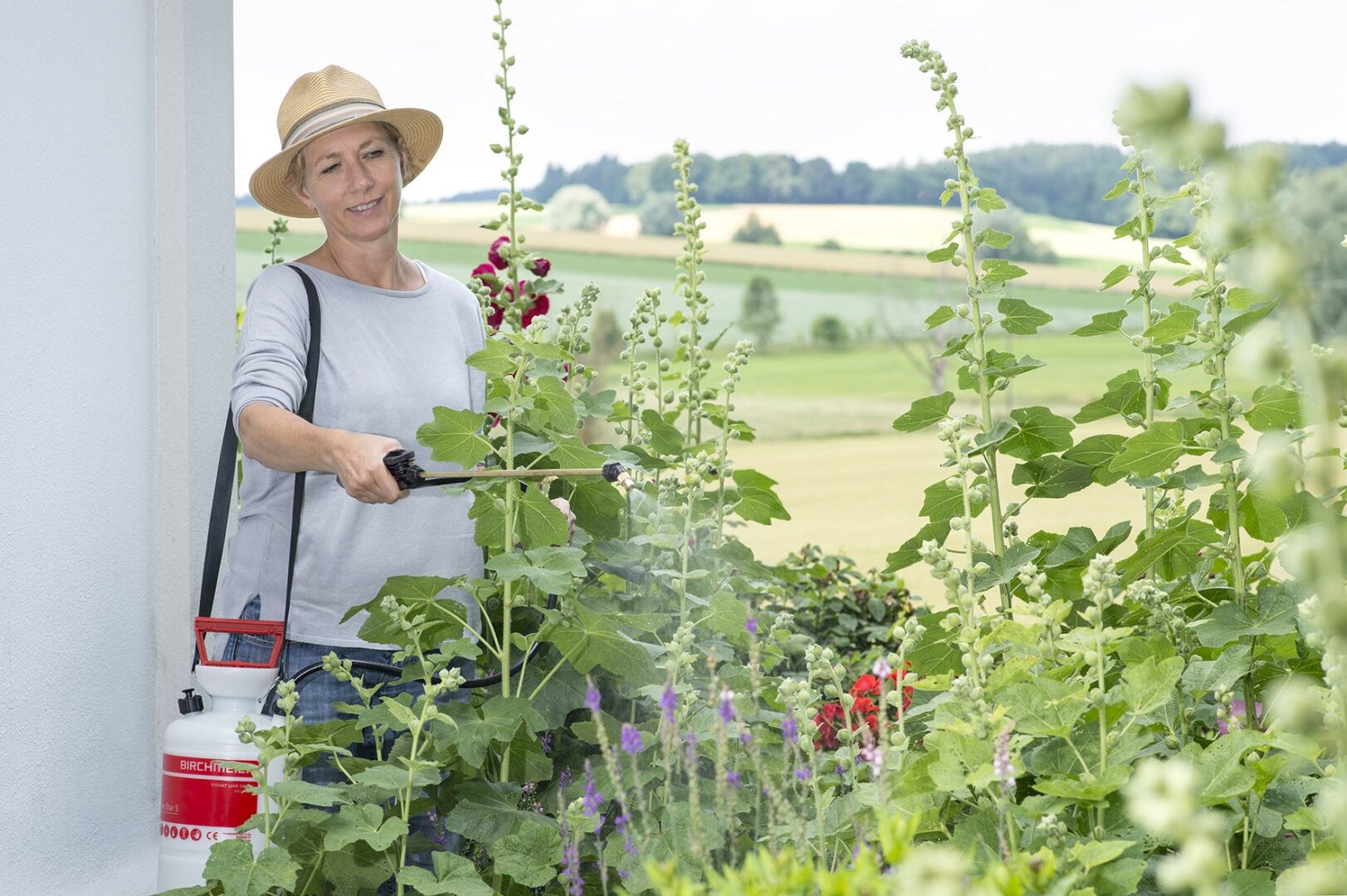 Garden Star 5 - 5L Compression Sprayer - Image 3