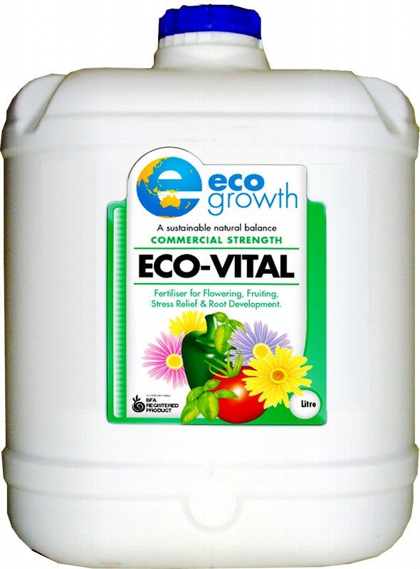Eco-Vital - Image 3