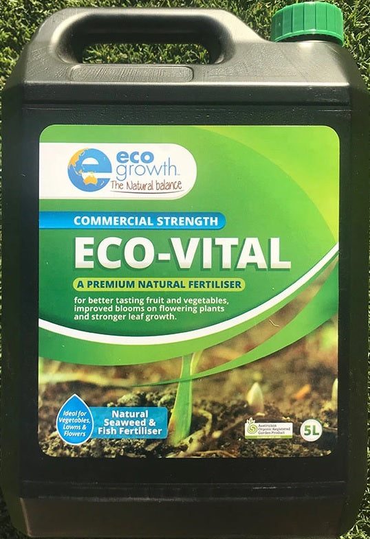 Eco-Vital - Image 2