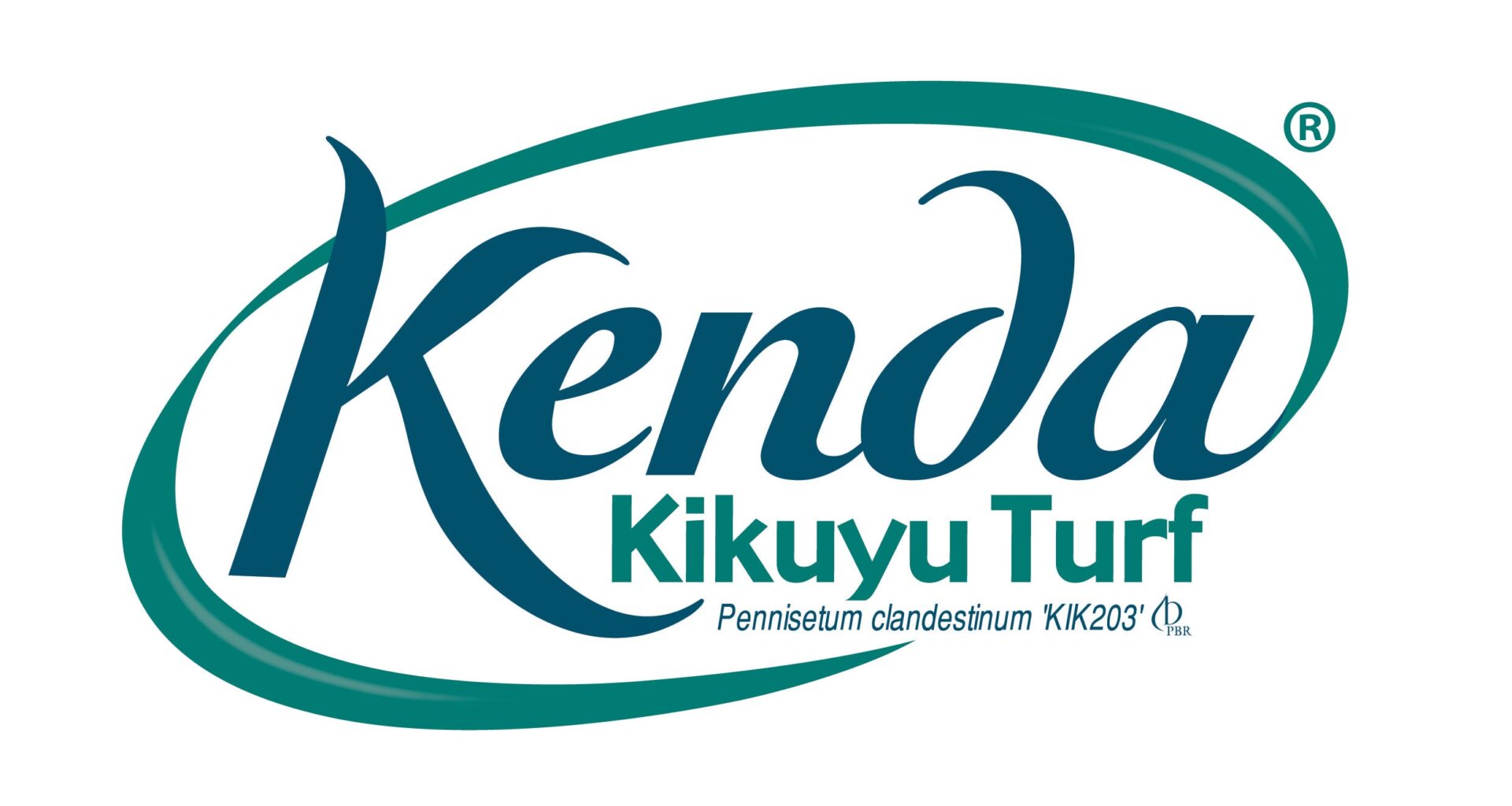 Kenda Kikuyu - Shredded / Stolons - Image 4