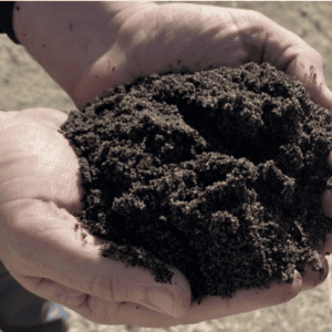 Superfine Sports Turf 100% - No sand