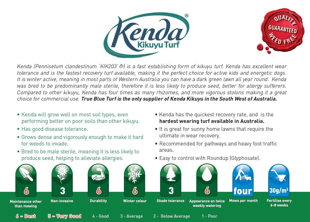 Kenda Kikuyu - Shredded / Stolons - Image 2