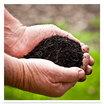Turf Foundation Soil Improver - Image 2