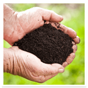 Turf Foundation Soil Improver