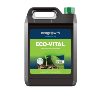 Eco-Vital