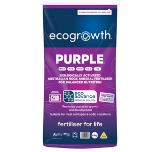 Eco Prime Purple