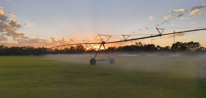 IMG_20260130_054346765
