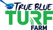 True Blue Turf Final Logo S